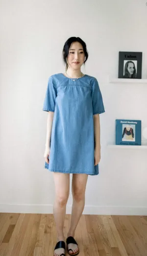 Amelia Denim Dress