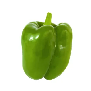 Certified Organic Green Bell Peppers