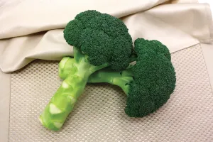 Green Magic Hybrid Broccoli Vegetable Seed